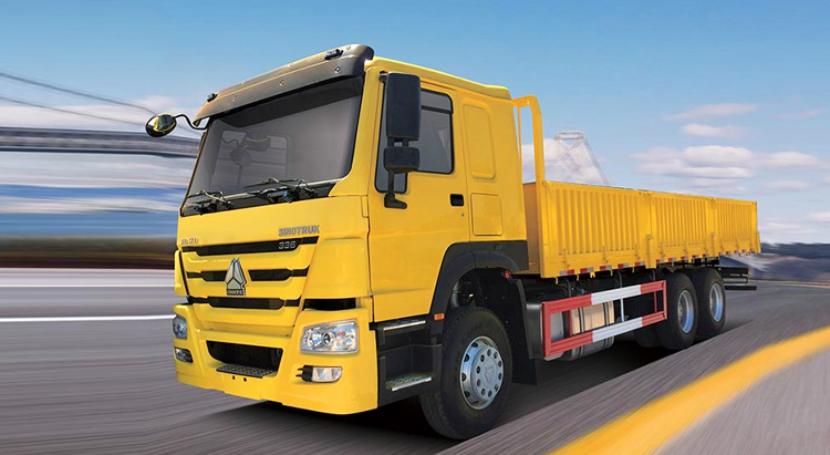 Howo 6X4 Cargo Truck gallery 1