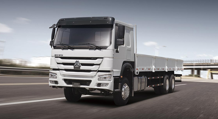 Howo 6X4 Cargo Truck gallery 3