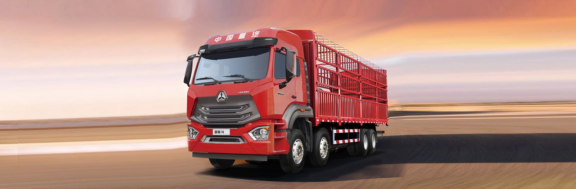 Howo N 8X4 Cargo Truck