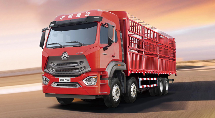 Howo N 6X4 Cargo Truck gallery 3