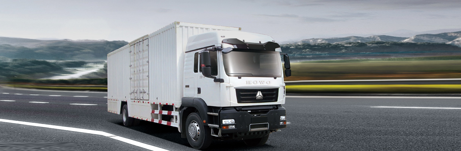 Howo TX 4X2 Cargo Truck