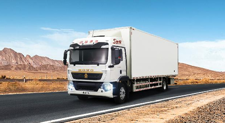 Howo TX 4X2 Cargo Truck gallery 3