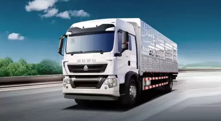 Howo TX 4X2 Cargo Truck gallery 2