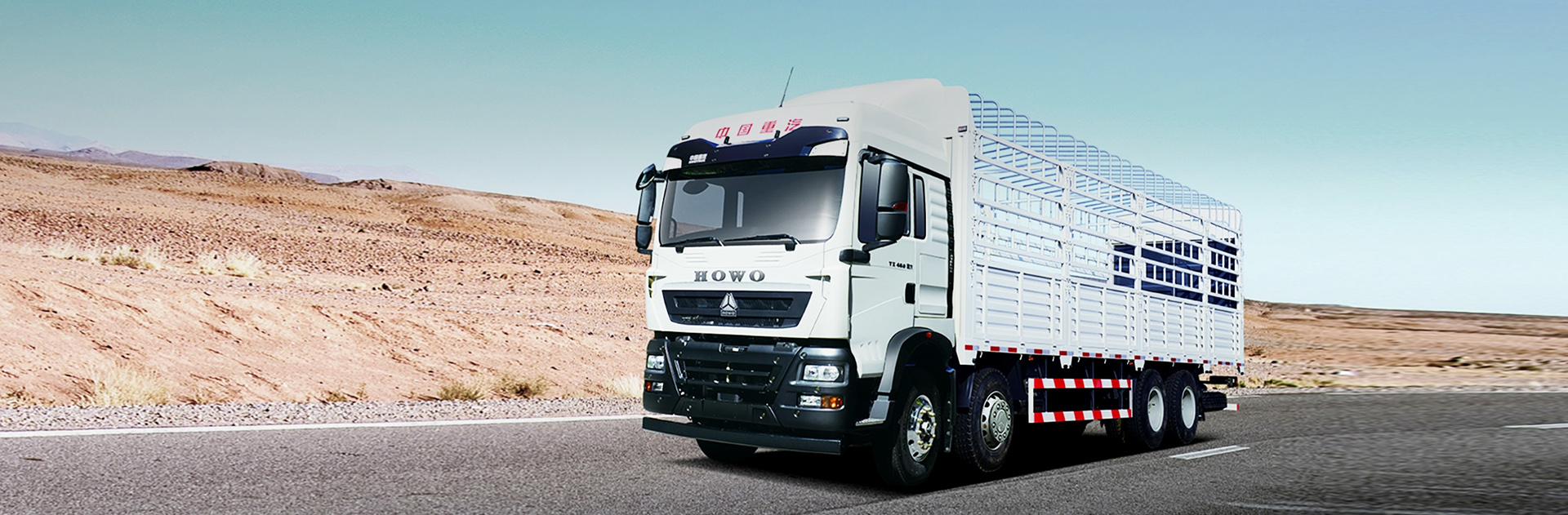 Howo TX 8X4 Cargo Truck