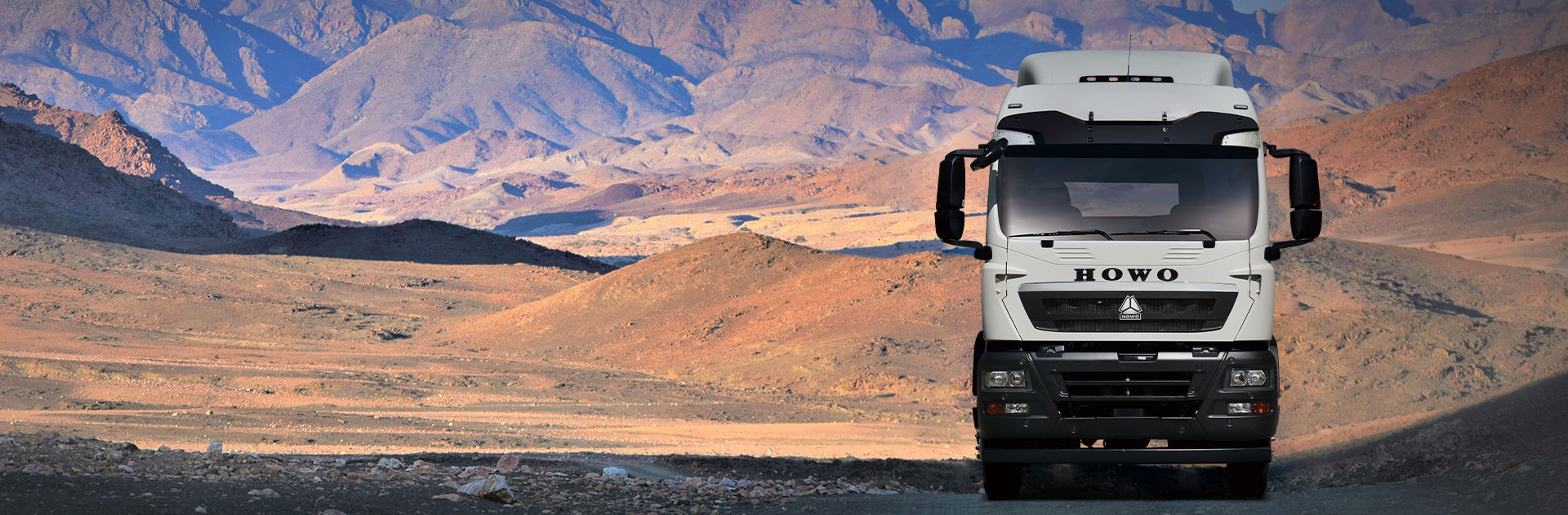 Howo TX 4X2 Cargo Truck